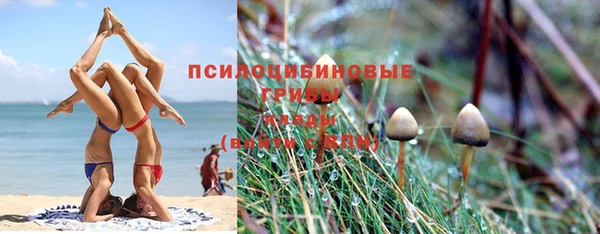 трава Семёнов